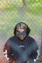 HUNTERS CAMO HAT